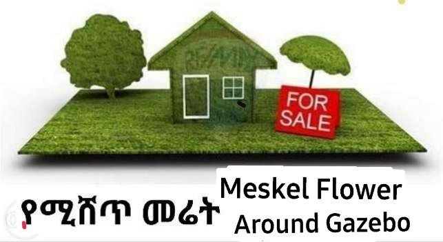 Meskel FlowerGazebo Adebabay  400 Sqm. A…